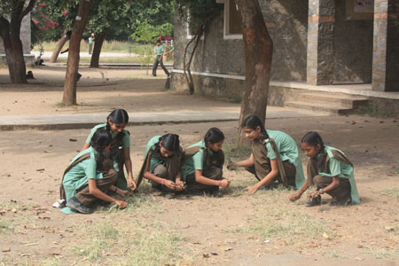 Cleaning the unwanted weeds